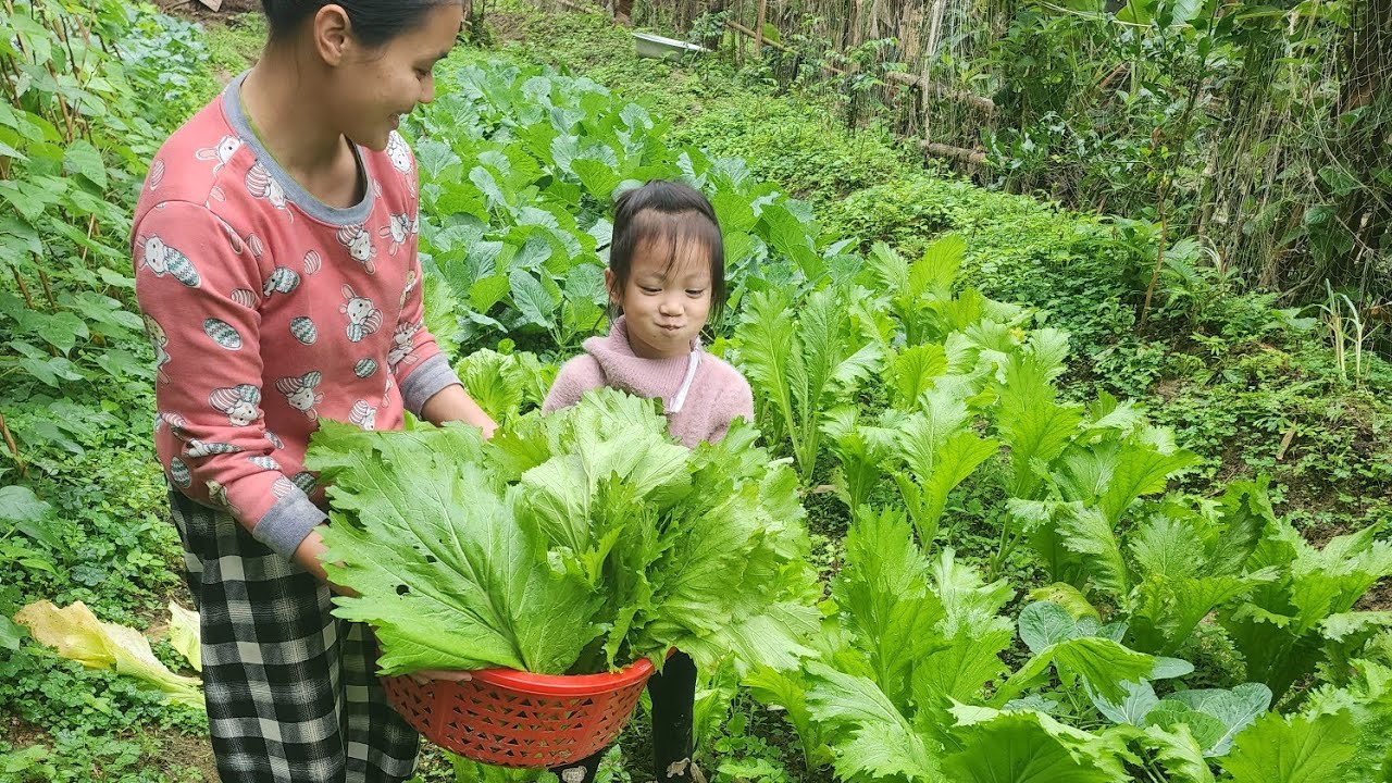 The mother and daughter picked vegetables together to make pickled vegetables.
