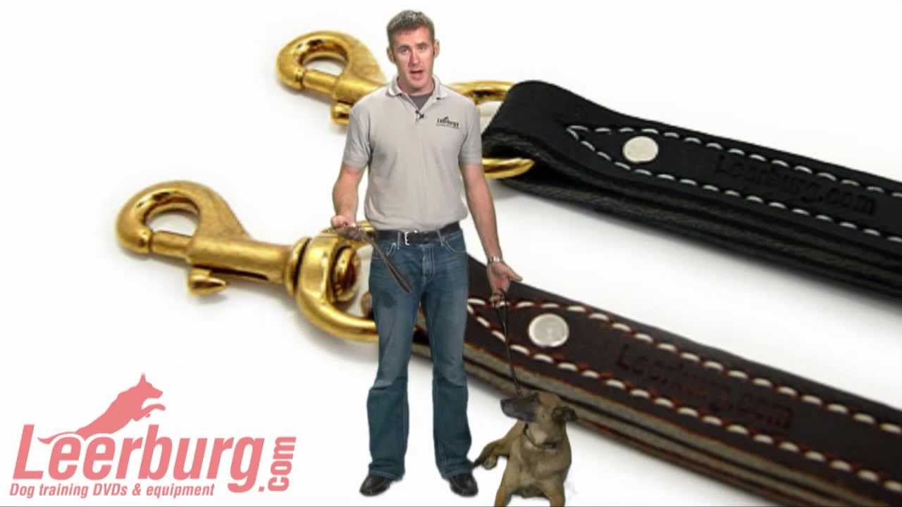 Leerburg's Leather Traffic Lead