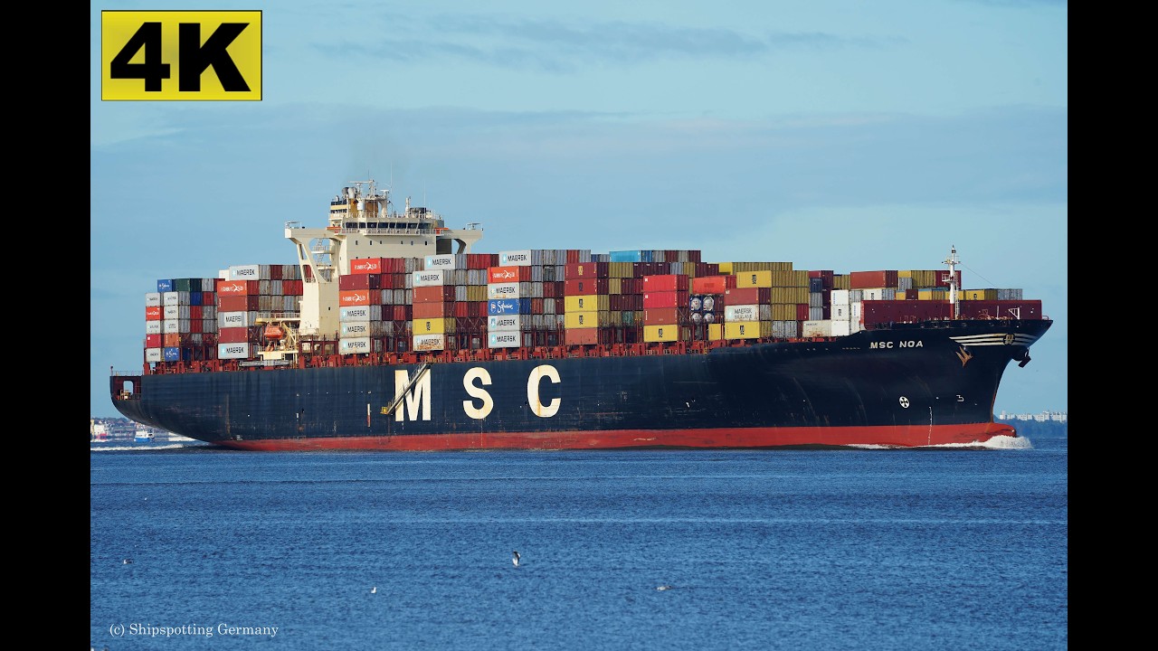 MSC NOA - Shipspotting Germany 🇩🇪 IMO 9398228 - River Elbe near City Otterndorf - 4K VIDEO