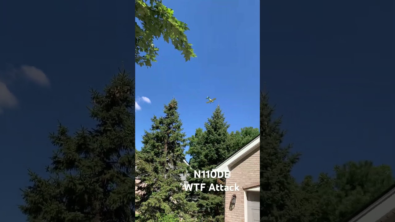 N110DE WTF Attack Paul S Draper Livonia MI 