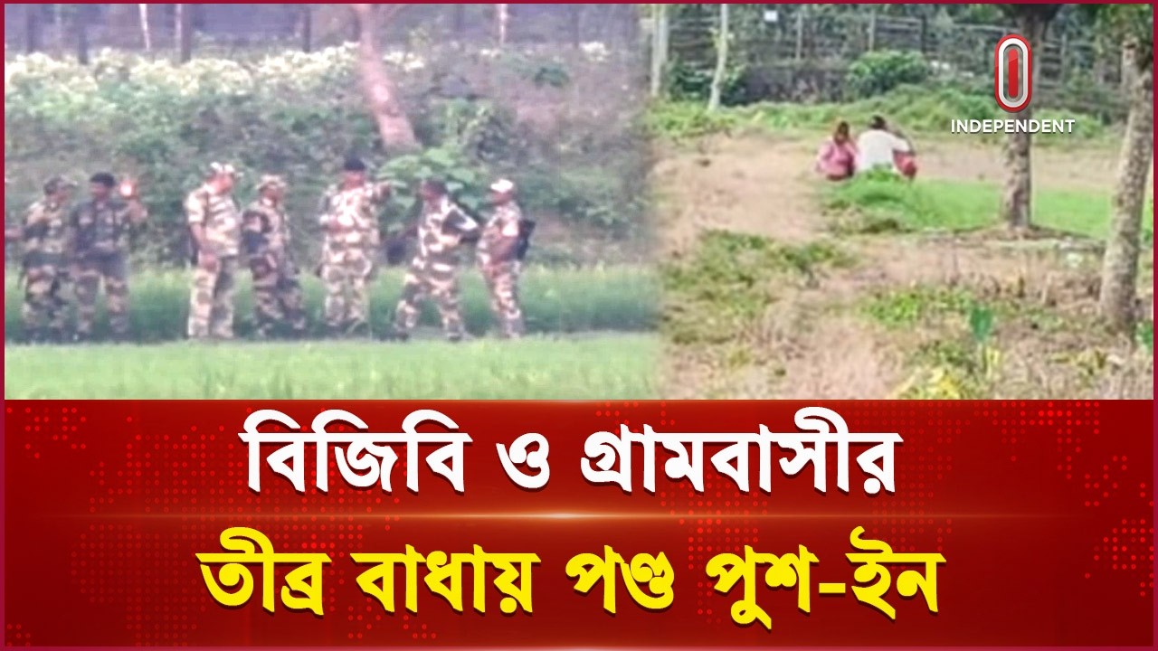 সীমান্ত থেকে ৩ নারীকে ফেরাল বিএসএফ | Push in | BSF | BGB |  Independent TV