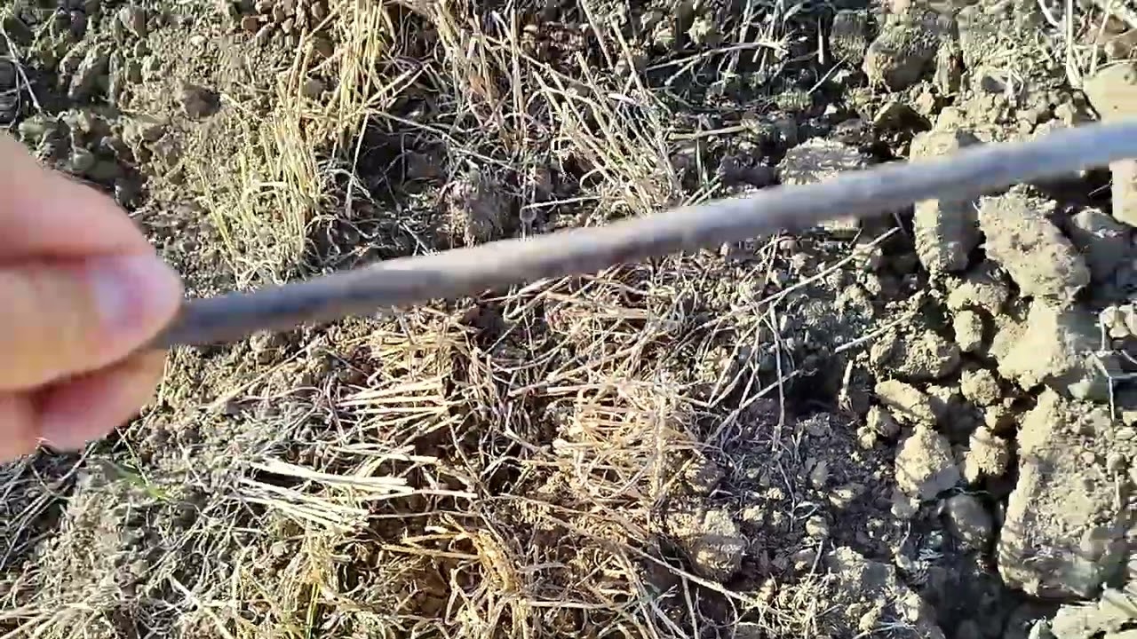 Оценка глубокой плоскорезной зяби (октябрь 2024 г.)