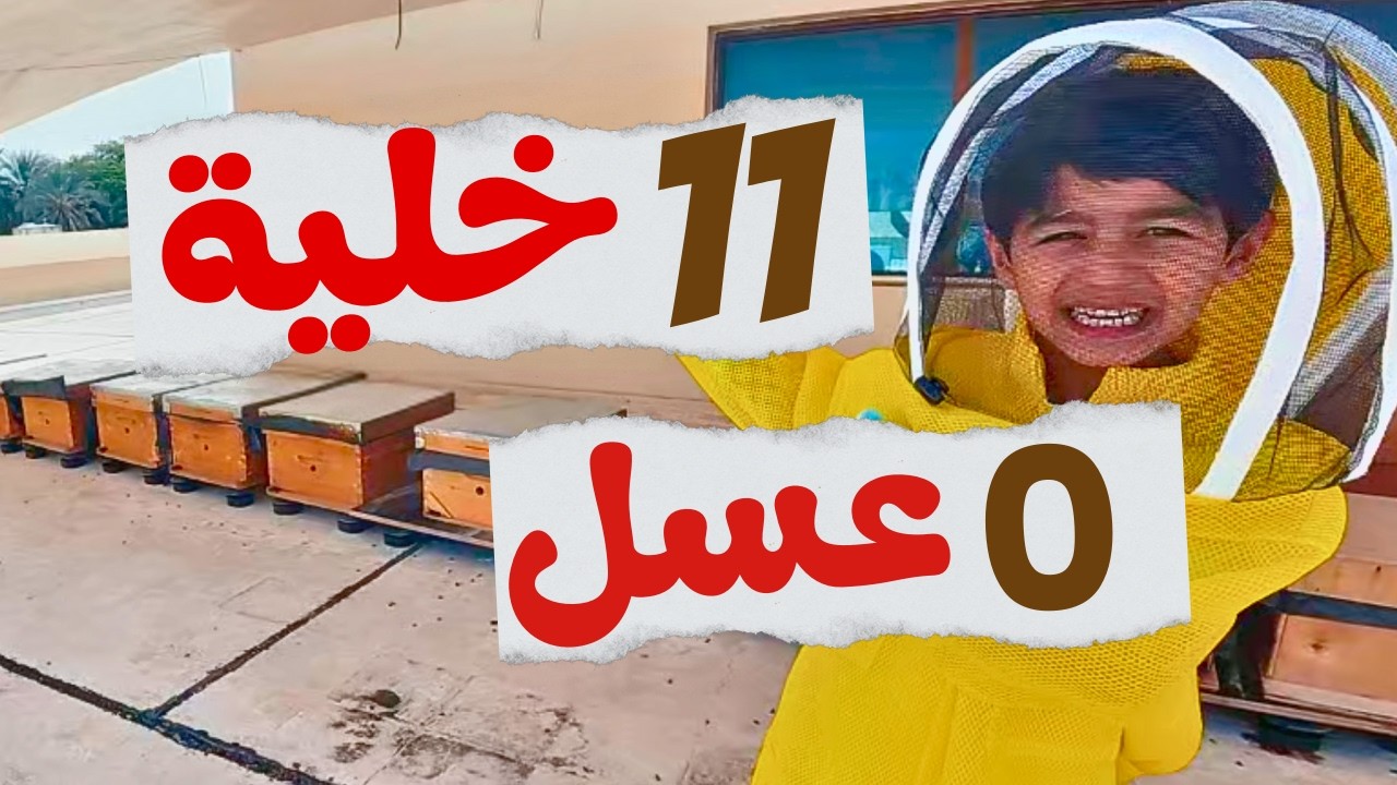 الفضول يصنع العباقرة | درس عملي من خلايا النحل | Curiosity Creates Geniuses