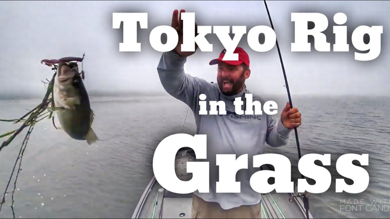 Tokyo Rig - How to Punch and Fish the Grass