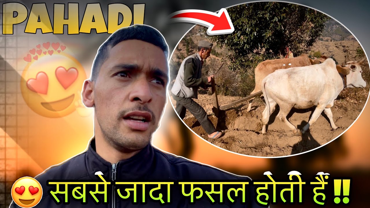 आशा हर दिन कुछ नया बनाती है 😀 गाँव और सीजन का पहला रोजगार का काम ॥ #pahadilifestyle #vlog #youtube 