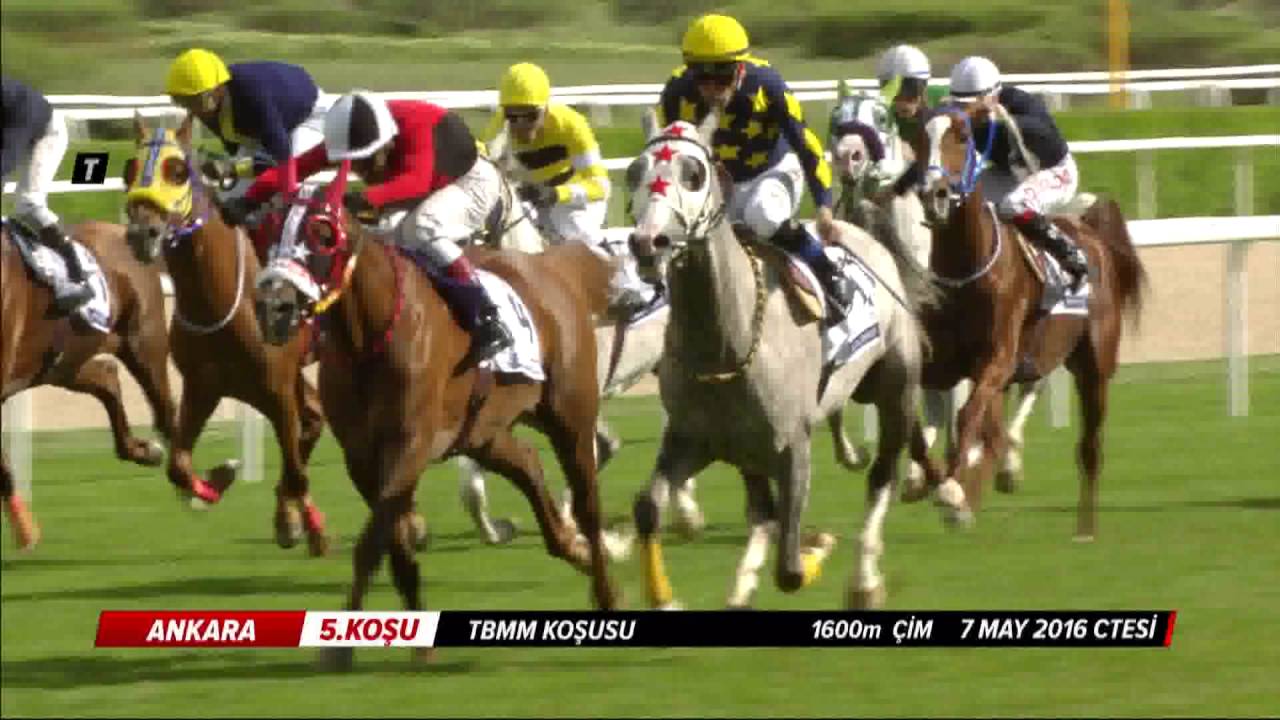 Türkiye Büyük Millet Meclisi Koşusu (TBMM / Grup - 1) 07/05/2016