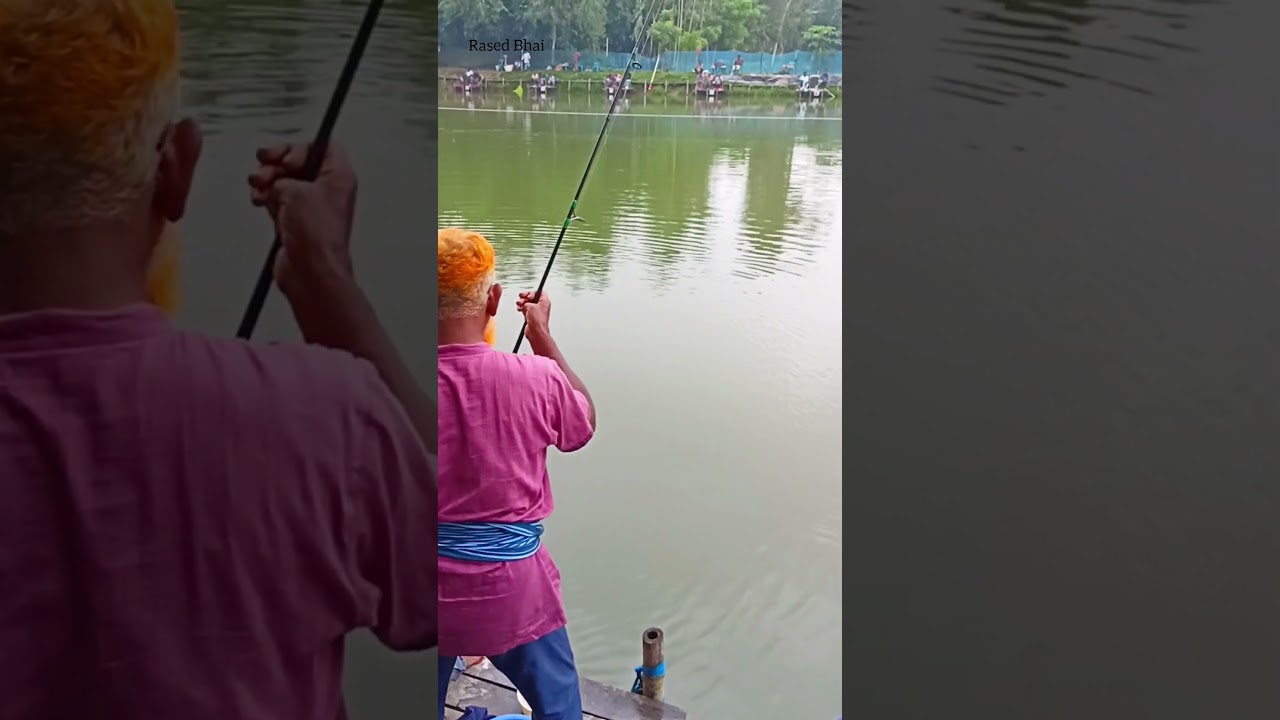 Best fishing spot of village anglers #fishingspot #fishing #best #bestfishing #bestfishingspot