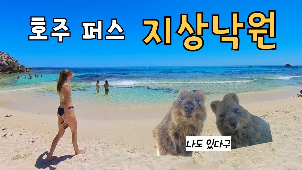 호주 여행 쿼카 섬에 가다 [호주 퍼스2]