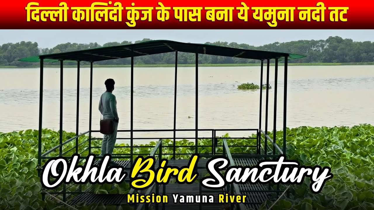 Mission Yamuna River 2025: Okhla Bird Sanctuary Near Kalindi Kunj Delhi | Brothers Enfield Explore