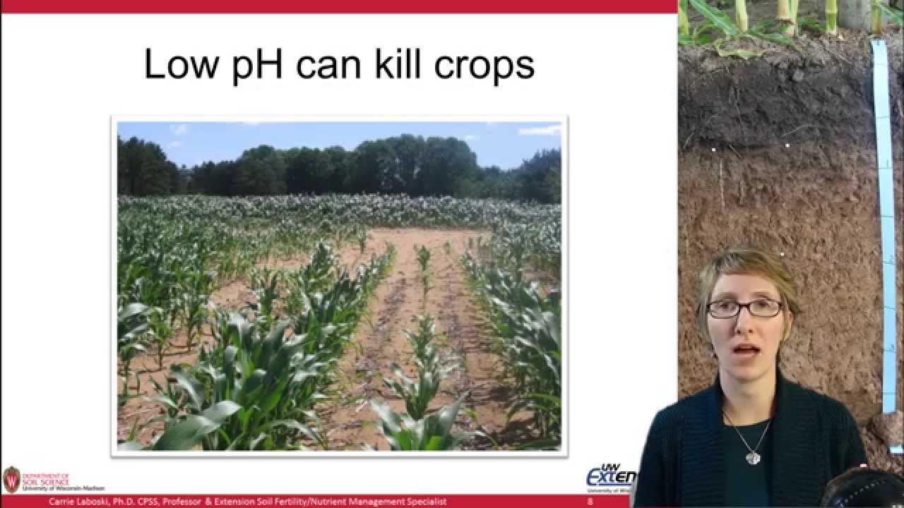 Soil Acidity and Liming, Ag Nutrient Management