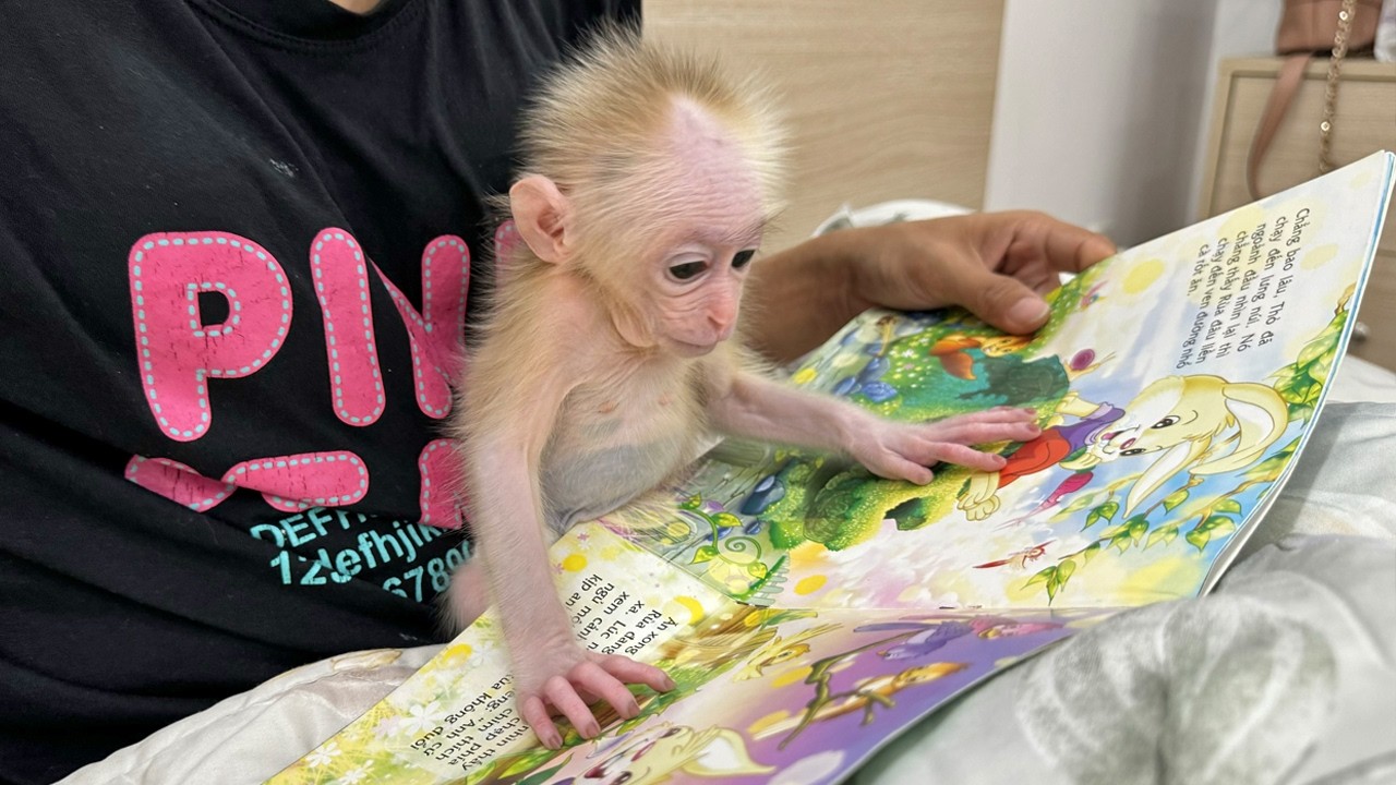 Late Night Story: Mommy, Lucky Wants to Read a Story!