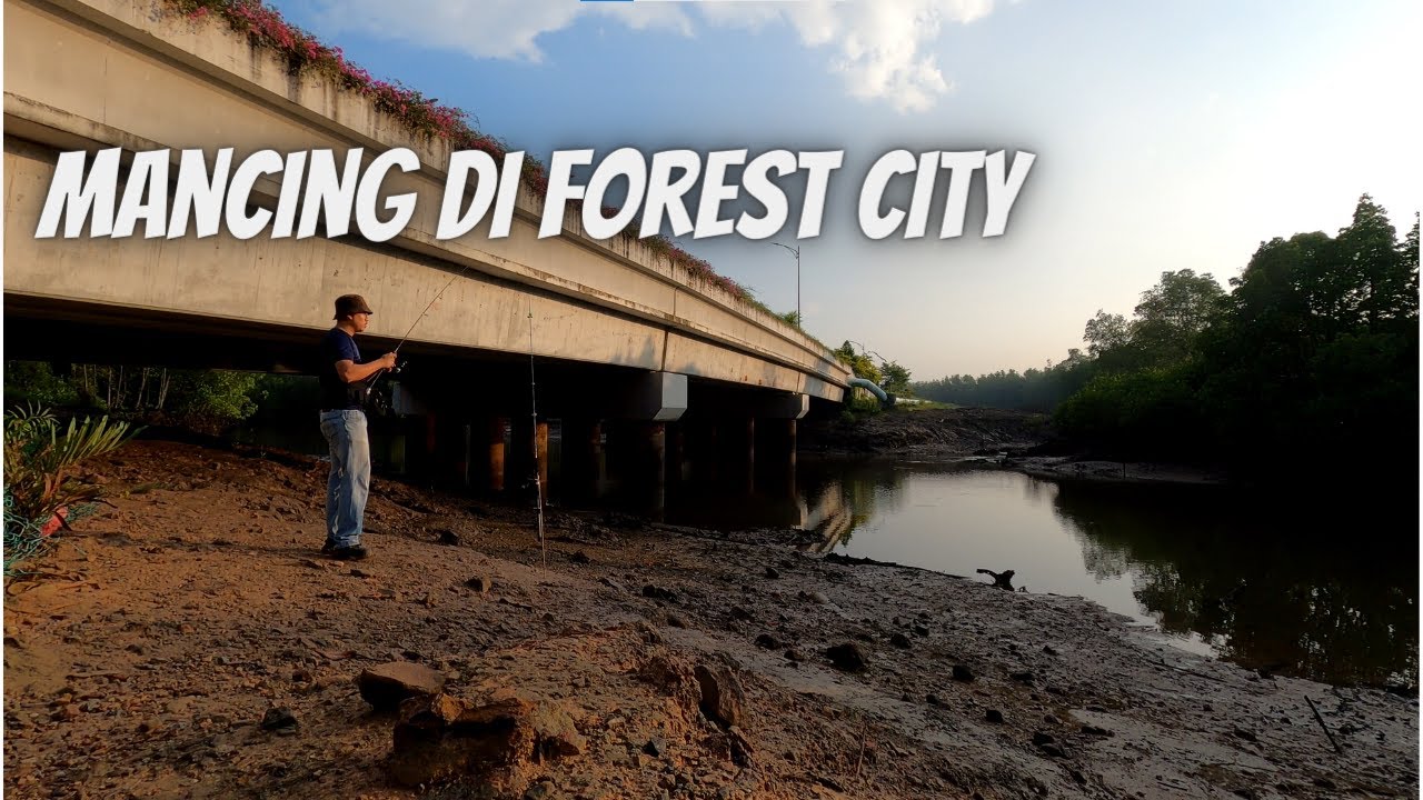 Mancing di Johor, Bawah jambatan Forest City