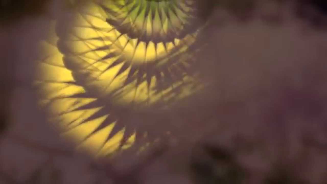 L'Ange de l'Apocalypse - Air d'Alto.