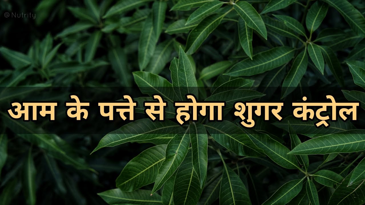 अब करें अपने Sugar को आम के पत्तों से Control | Nutrity