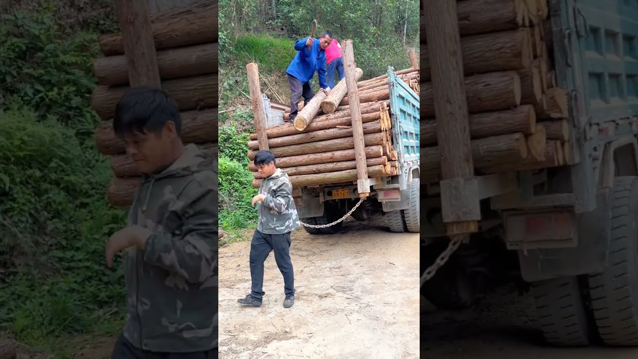 Grit and Strength: The Demanding Task of Loading Timber Manually