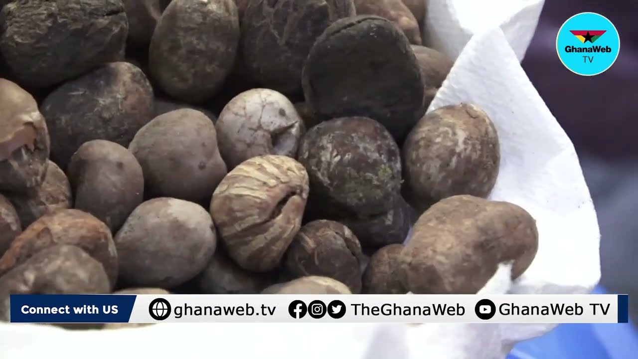 Government to ban raw shea nut exports by 2026 - Dr Peter Otokunor