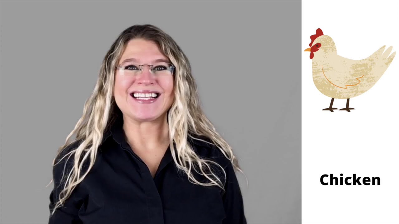 LEARN ASL WITH SIGN TRIBE'S VIDEO CARDS! + NON-VERBAL COMMUNICATION + SIGN LANGUAGE