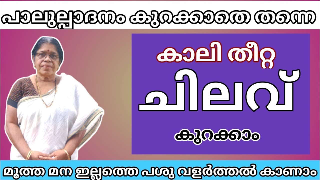 ഇതുണ്ടെങ്കിൽ പശുവിന്റെ തീറ്റ ചിലവ് കുറക്കാം, എന്നാൽ പാല് കുറയില്ല / Edapparambil farms