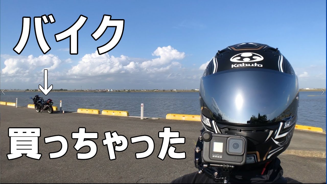 【モトブログ】バイク買っちゃった【ZZR400】