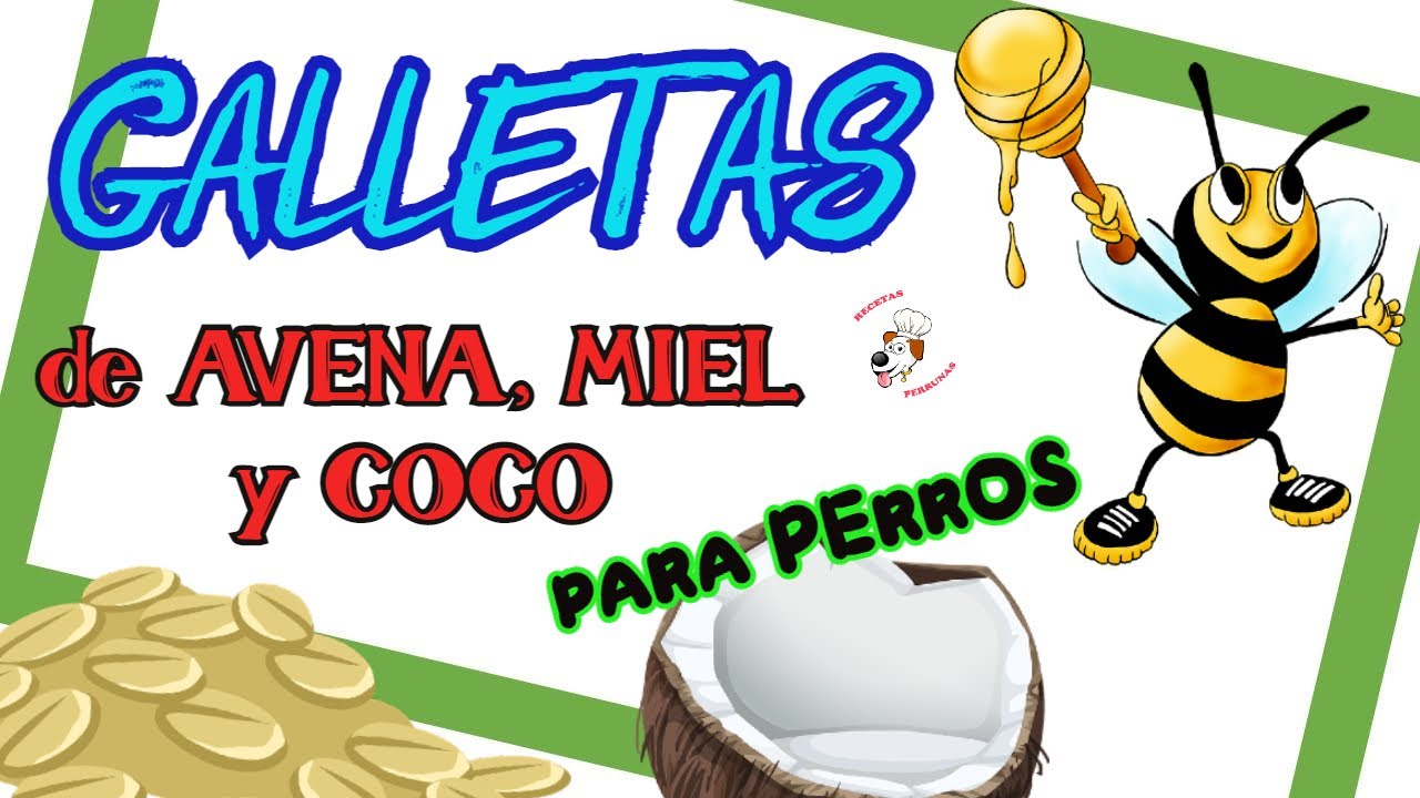 COMO Hacer GALLETAS para PERROS SALUDABLES 😍💚🍪