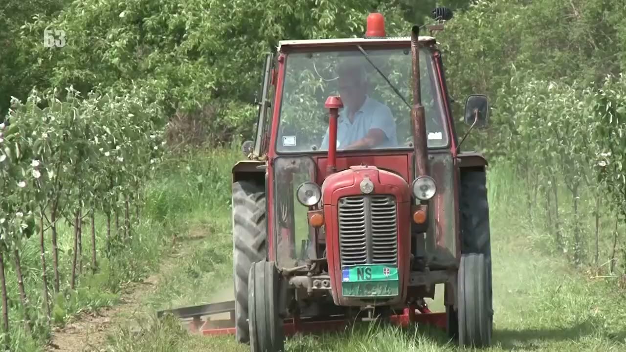 PIPALICA ali MEHANIČKA za kosačicu - kako je napravljena ??