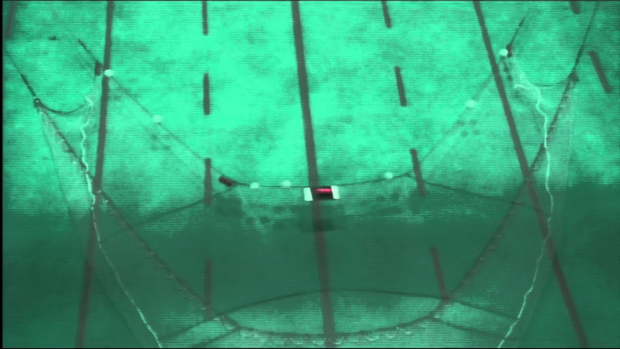 USGS GLSC Yankee Trawl flume test top view