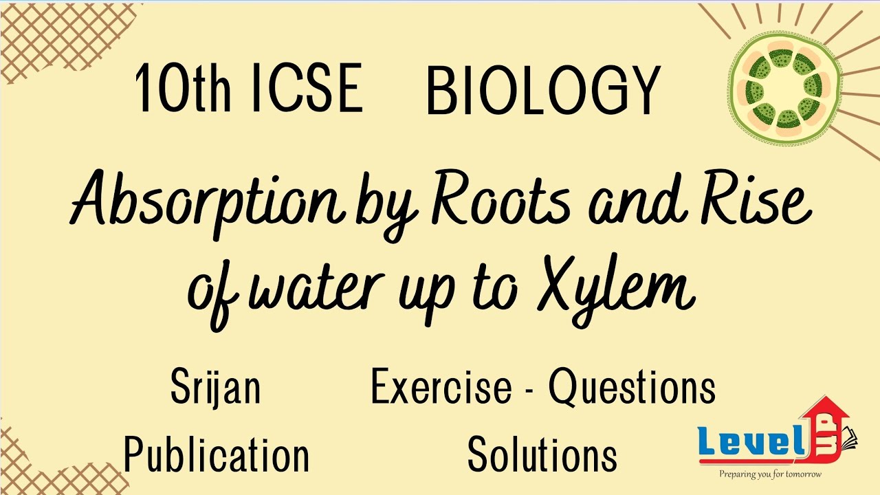 10th ICSE Biology Absorption by Roots and Rise of water up to Xylem Exercise- Questions Solutions