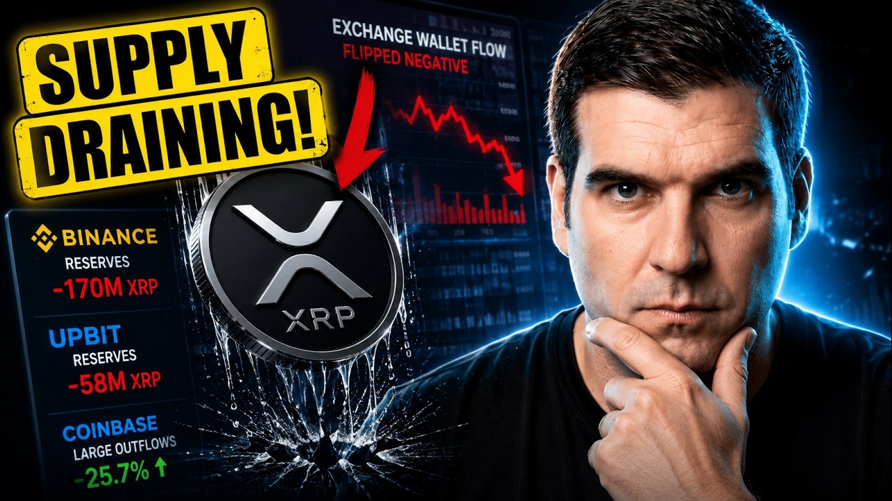 XRP упал&hellip; но предложение исчезло