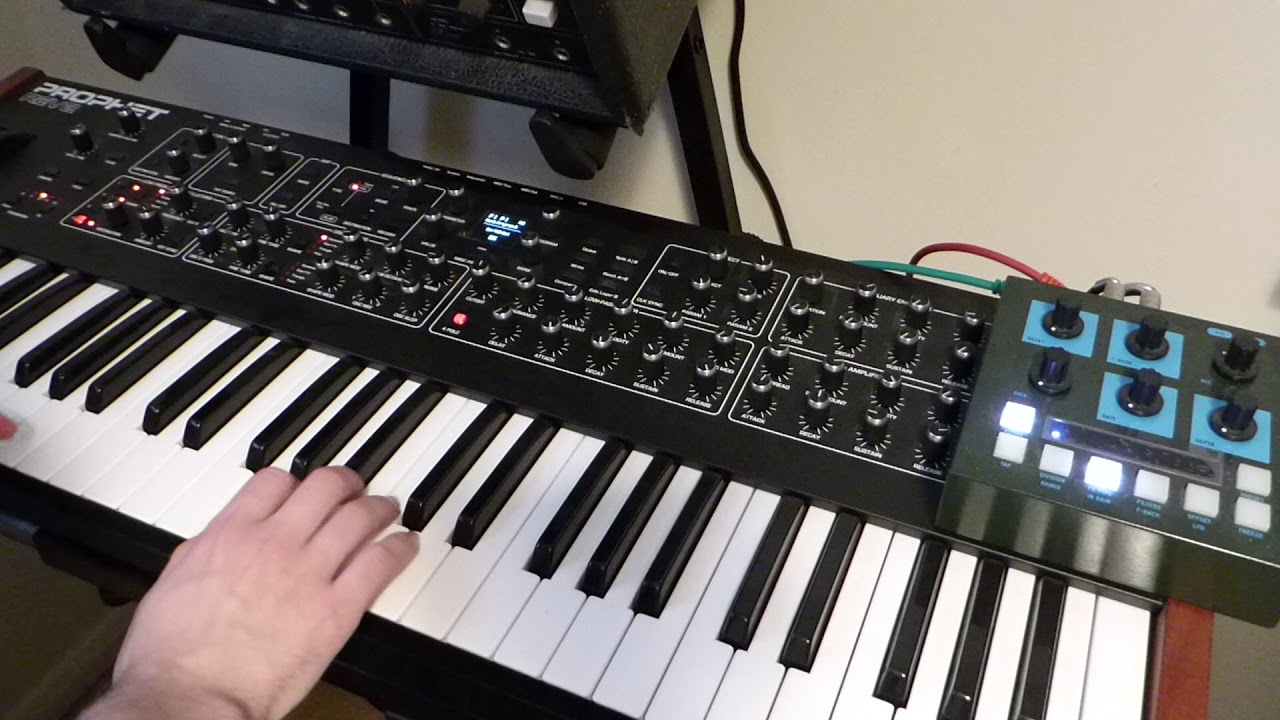 DSI Prophet Rev 2 & OTO Machines BIM