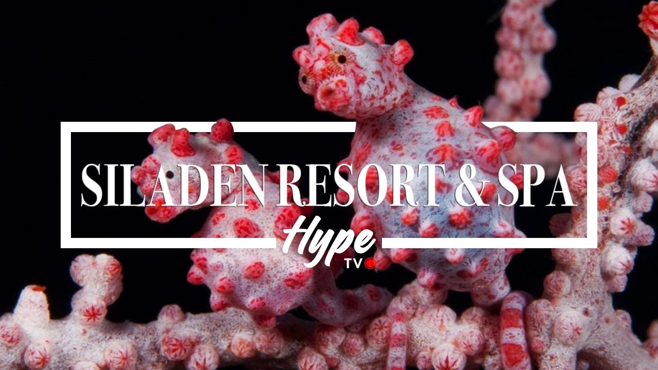Siladen Resort & Spa (Bunaken) | Dive Hype