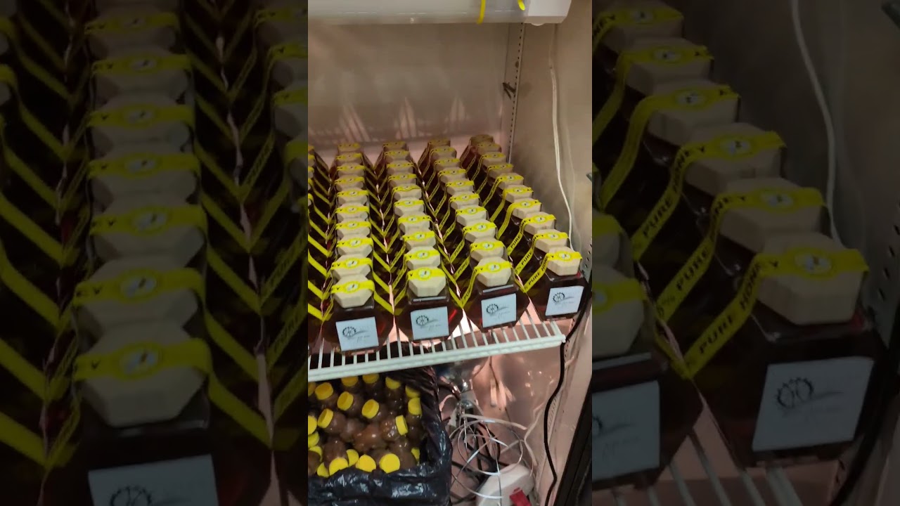 Hot Box if you want to see the build it's in the channel. #honey #honeybee #bee
