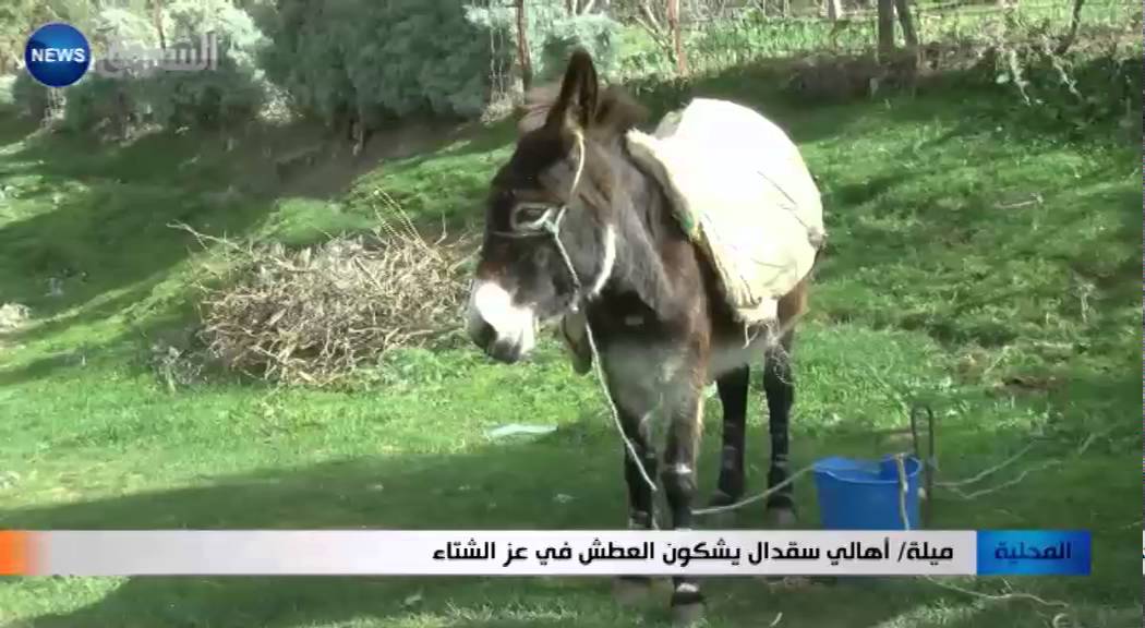 ميلة: أهالي سقدال يشكون العطش في عز الشتاء