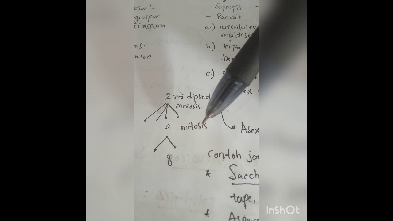 Ciri-ciri Jamur Ascomycota dan Basidiomycota