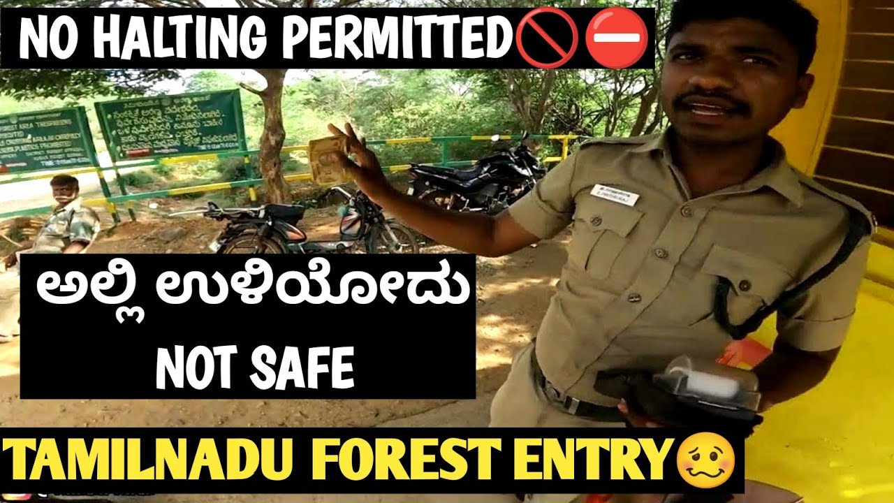 DABBAGULI FOREST ಗೆ ENTRY ತಗೊಂಡೆ😍 ಆದ್ರೆ ರಸ್ತೆ ಅಷ್ಟಕ್ಕಷ್ಟೇ 🥴 #dabbaguli #forest #entry