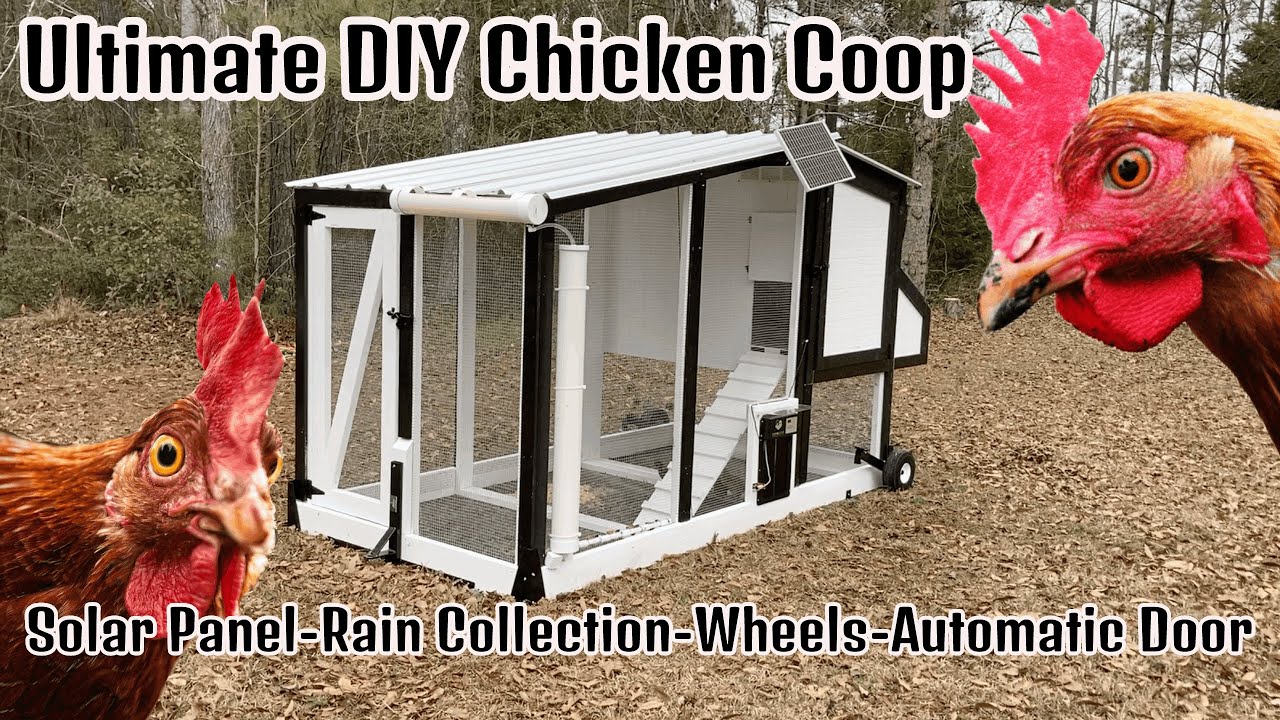 Курятник – Солнечная энергия – Сбор дождей