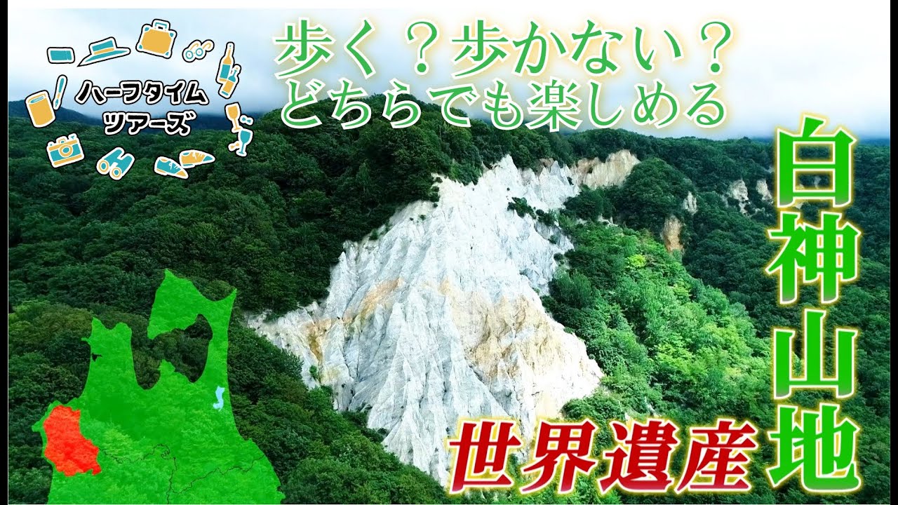 歩く？歩かない？ どちらでも楽しめる白神山地を満喫するツアーをご紹介