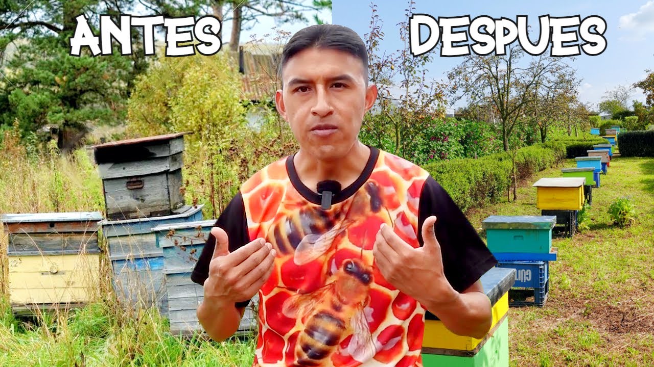 Errores que no Cometería si Volviera a Empezar (Como Apicultor)
