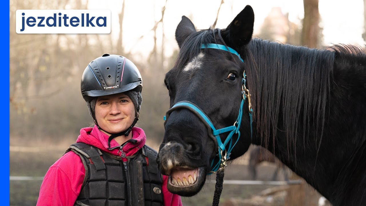 Příprava na vlastnictví koně