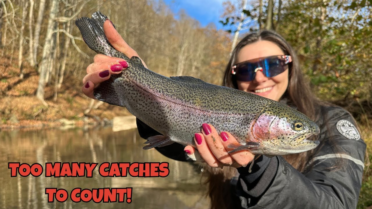 New Spot... INSANE Rainbow Trout Action! Non-Stop Bites!