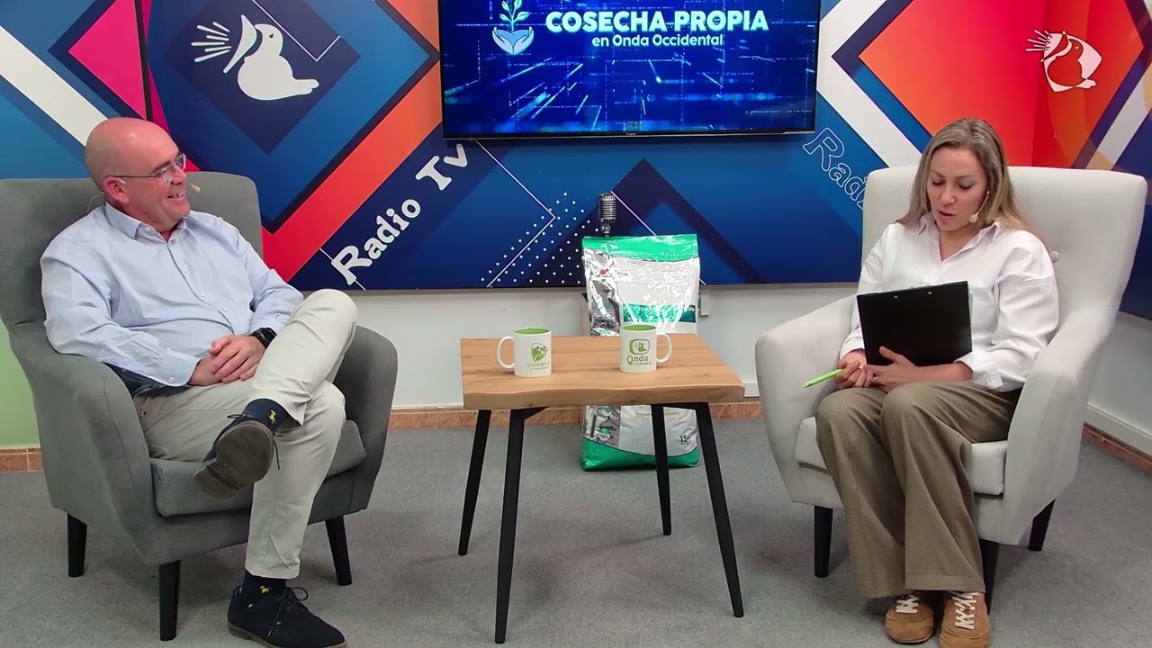 GESTIONA CINCO EMPRESAS SIMULTÁNEAMENTE | Grupo A Cobijo | COSECHA PROPIA