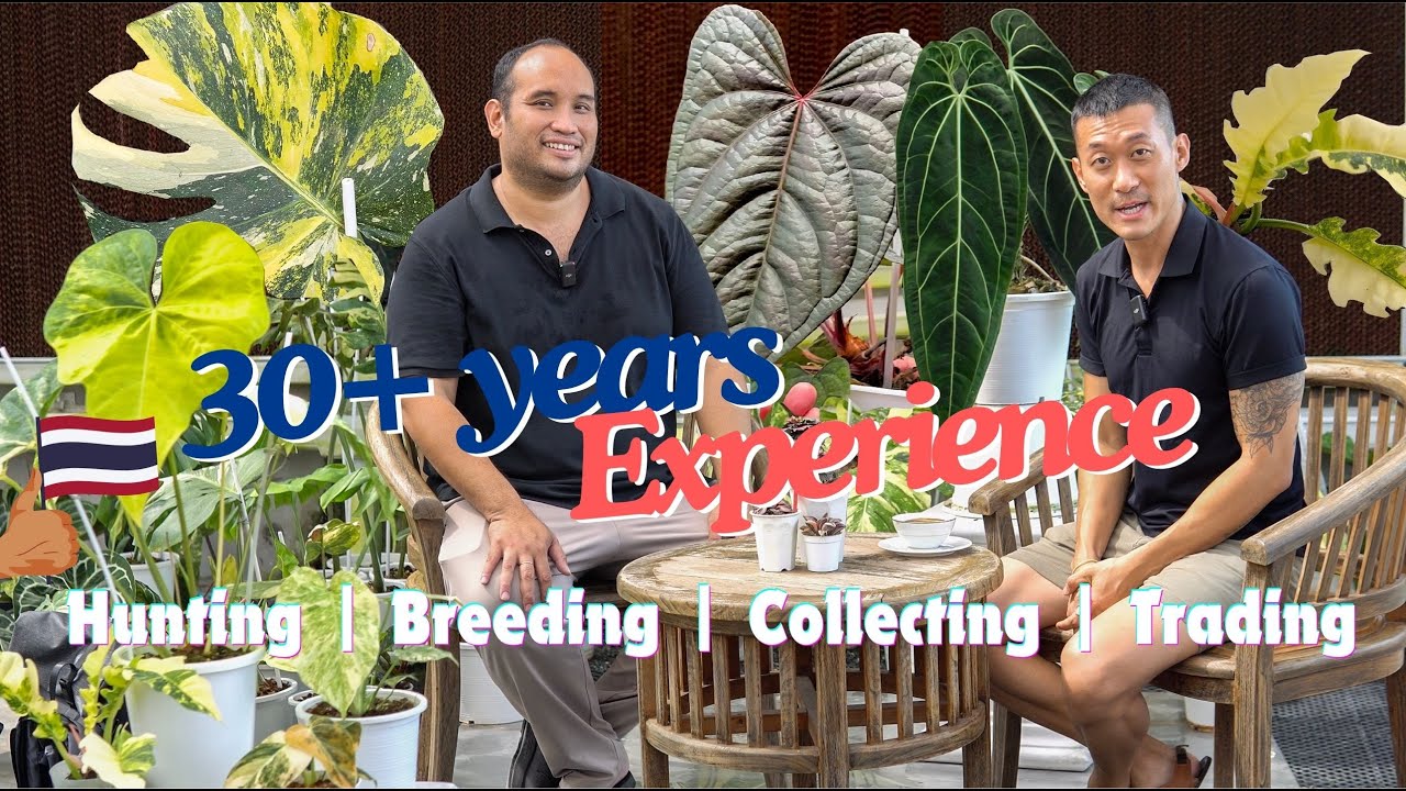 Tour Tasson’s RARE 🇹🇭  Exotic Foliage | Interview - Collection History and Plant Market Trends!