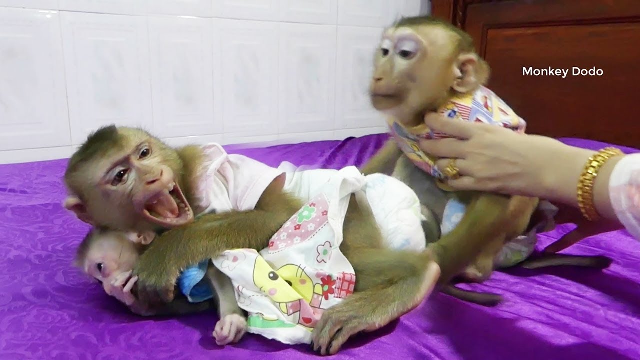 Pity Mori Cry Call Mom Help Cuz She Not Want Dodo Take Zuji From Her