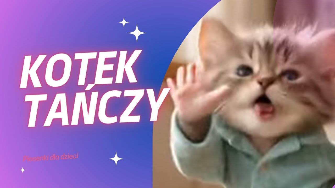 Kotek Tańczy Hop Hop Hop 🐱🎶 | Wesoła Piosenka dla Dzieci