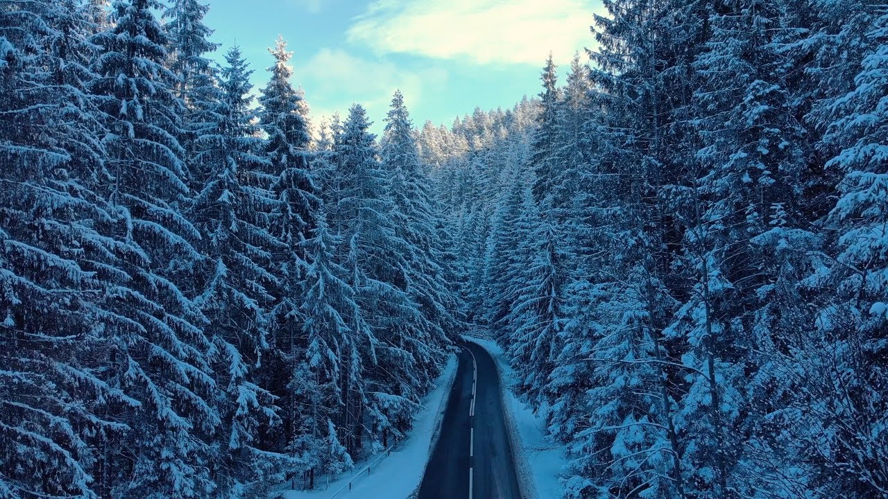 Cold Blizzard, Warm Feelings ❄️ Snowstorm Ambience