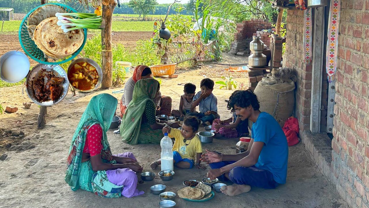 Farmers  Daily Routine Life | Village Life in Gujarat, India | Farmers Lunch