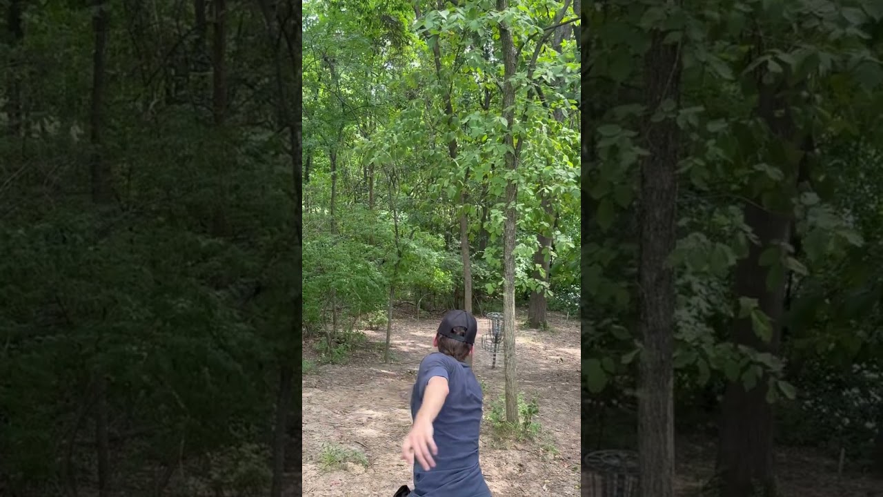 between the trees #discgolf #discgolfer #discgolftips