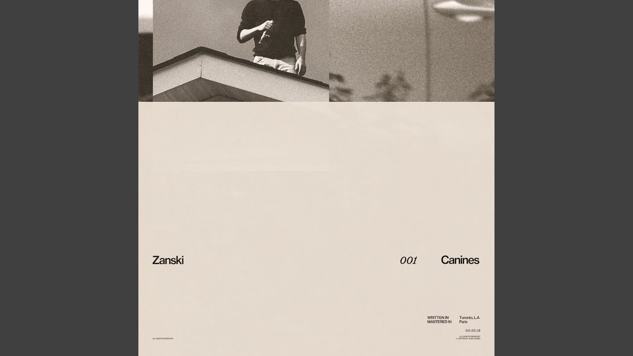 Canines