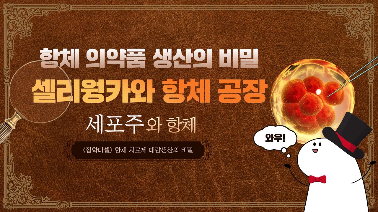 셀리웡카와 항체 초콜릿 공장! 세포주와 항체 쉽게 알려드림 l 셀트리온 잡학다셀