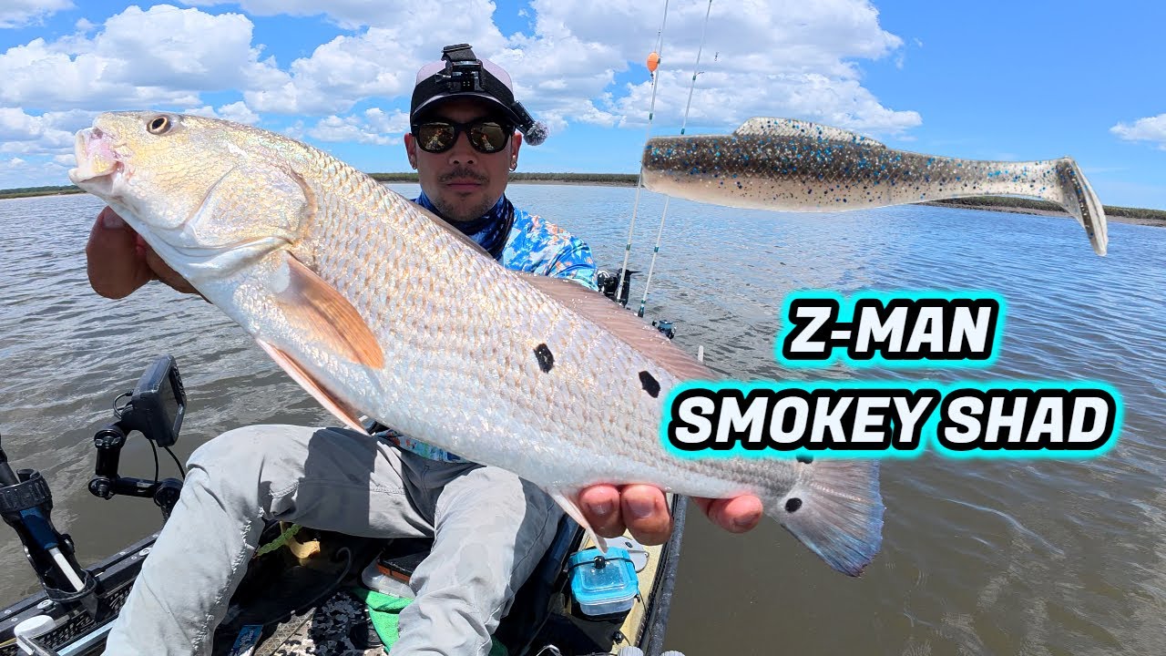 THIS LURE MAKES FISHING EASY | CATCHES EVERYTHING! Z-MAN SMOKEY SHAD #fishing