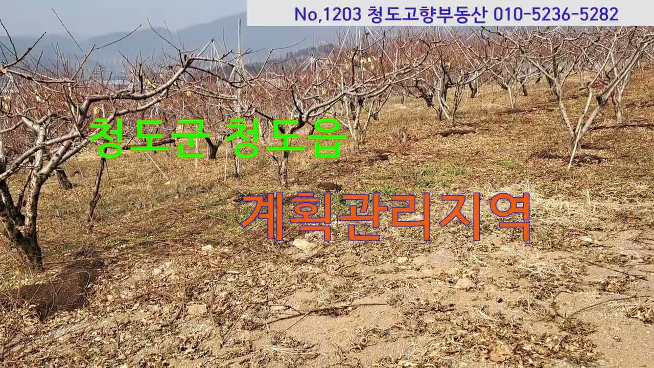 (1203)청도군 청도읍 계획관리지역
